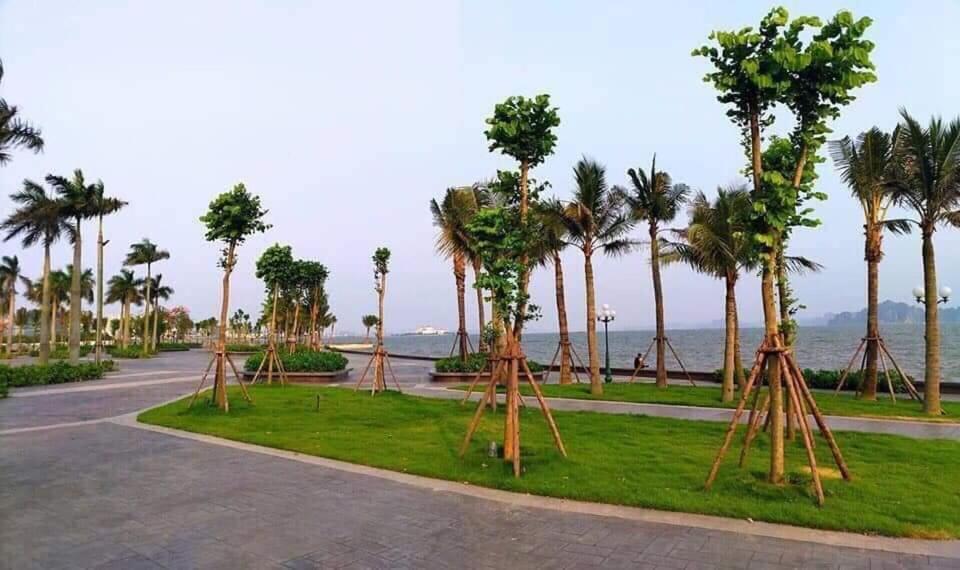 Sonny Homestay 2 -Can Lien Ke 5Pn -Khu Greenbayvillage - Duong Hoang Quoc Viet -Trung Tam Kdl Bai Chay Ha Long Exterior photo
